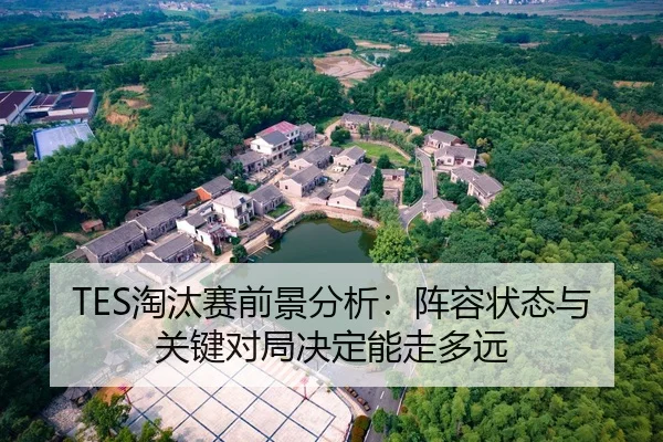 TES淘汰赛前景分析：阵容状态与关键对局决定能走多远